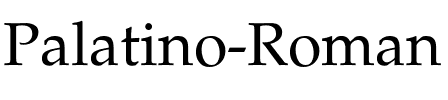 Palatino-Roman Regular.ttf
