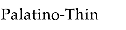 Palatino-Thin Regular.ttf