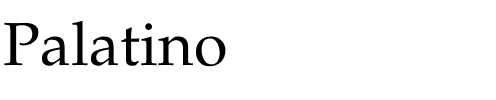 Palatino Regular.ttf