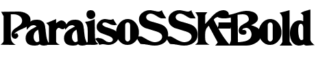 ParaisoSSK Bold.ttf