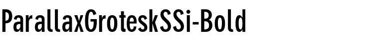 ParallaxGroteskSSi Bold.ttf
