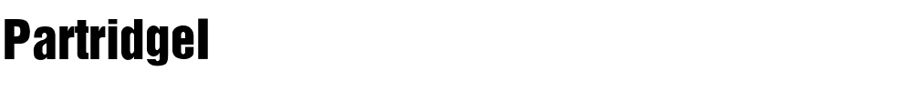 PartridgeInserat-Roman-SemiBold Regular.ttf