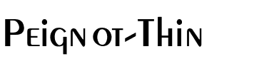 Peignot-Thin Regular.ttf