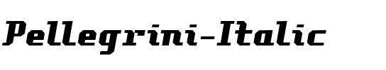 Pellegrini Italic.ttf