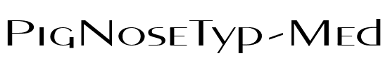 PigNoseTyp Medium.ttf