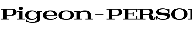 Pigeon PERSONAL Bold.ttf