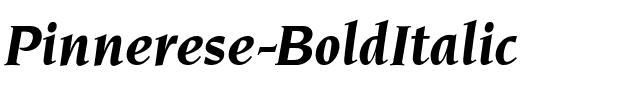 Pinnerese-BoldItalic Regular.ttf