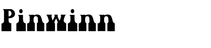 Pinwinn Regular.ttf