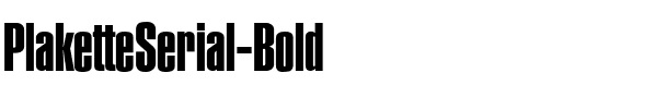 PlaketteSerial Bold.ttf