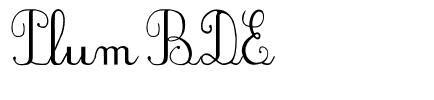 PlumBDE Regular.ttf