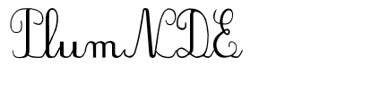 PlumNDE Regular.ttf