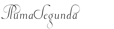 PlumaSegunda Regular.ttf