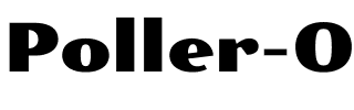 Poller One Regular.ttf