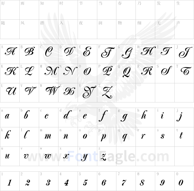 Poppl-Exquisit-R-Medium