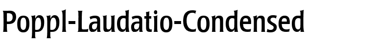 Poppl-Laudatio Regular.ttf