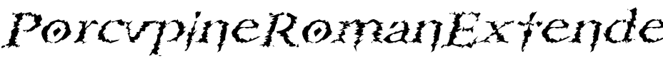 PorcupineRomanExtended Italic.ttf