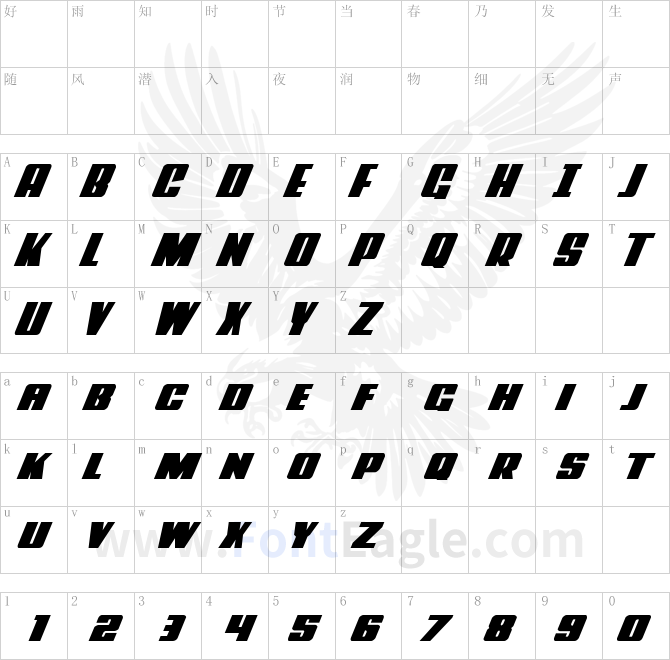 Power-Lord-Expanded-Italic-copy-2-