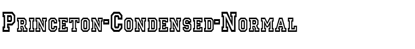Princeton Condensed Normal.ttf