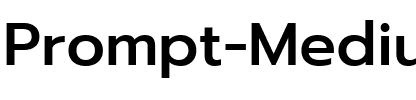 Prompt Medium Regular.ttf