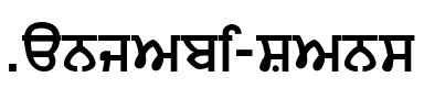 Punjabi Sans Regular.ttf