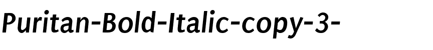 Puritan BoldItalic.ttf