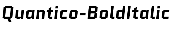 Quantico Bold Italic.ttf