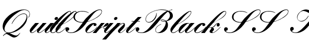 QuillScriptBlackSSK Regular.ttf
