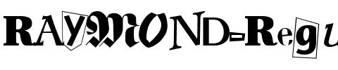 RAYMOND Regular.ttf