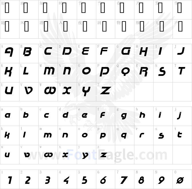 RaceTracSSK-BoldItalic