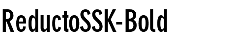 ReductoSSK Bold.ttf