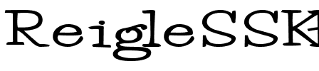 ReigleSSK Bold.ttf