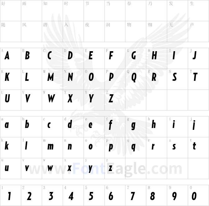 RelayComp-BlackItalic