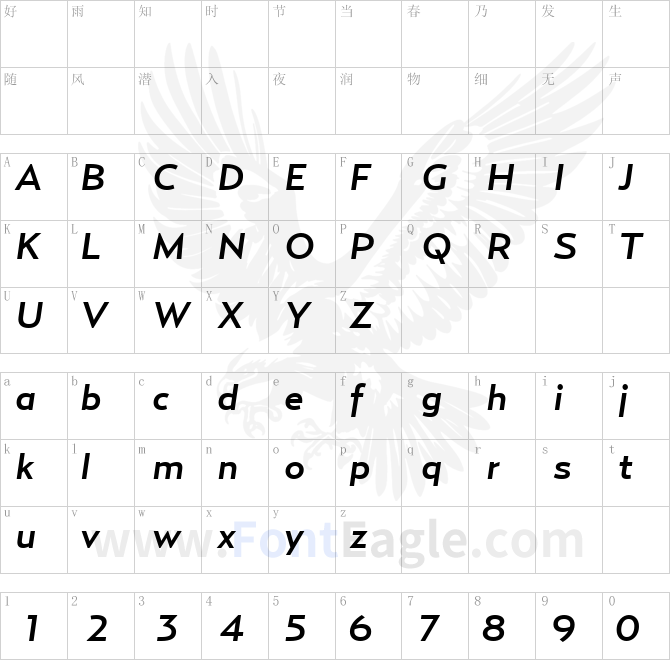 RelayWide-MediumItalic