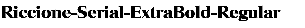 Riccione-Serial-ExtraBold Regular.ttf
