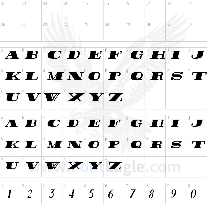 Rider-Condensed-ExtraBlack-Italic