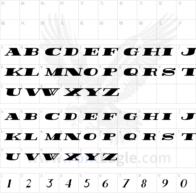 Rider-ExtraBlack-Italic