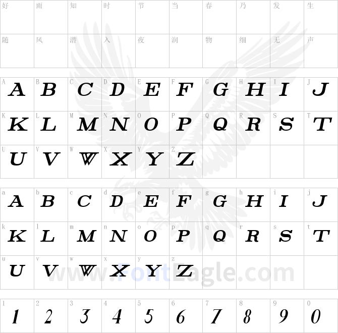 Rider-Tall-Ultra-condensed-Bold-Italic