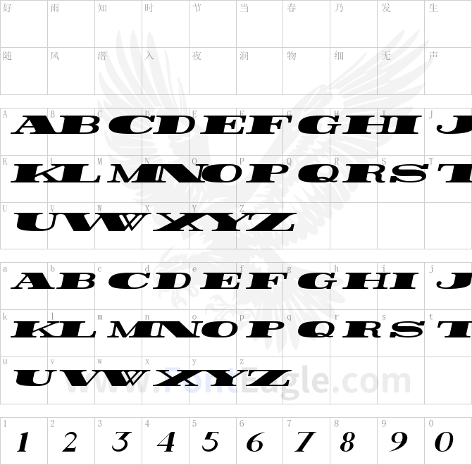 Rider-Wide-Expanded-ExtraBlack-Italic