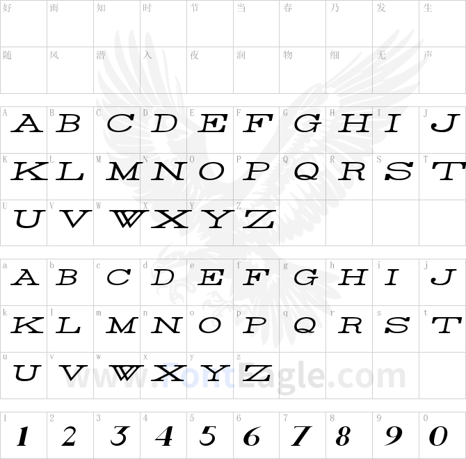 Rider-Wide-Expanded-Light-Italic