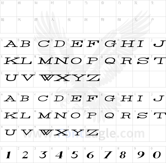 Rider-Widest-Ultra-expanded-Light-Italic