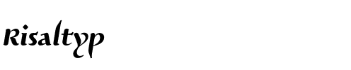 Risaltyp Medium.otf