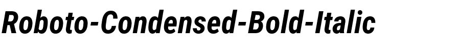 Roboto Condensed Bold Italic.ttf