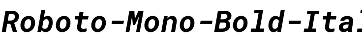 Roboto Mono Bold Italic.ttf