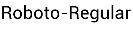 Roboto Regular.ttf