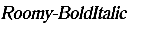 Roomy BoldItalic.ttf