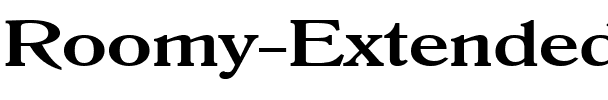 Roomy Extended Bold.ttf