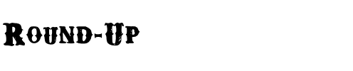 Round Up Medium.ttf