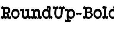 RoundUp Bold.ttf