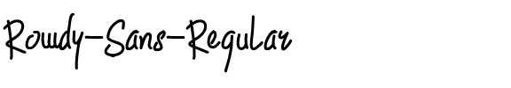 Rowdy Sans Regular.ttf