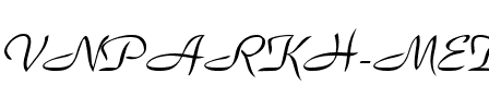 .VnParkH Medium.ttf